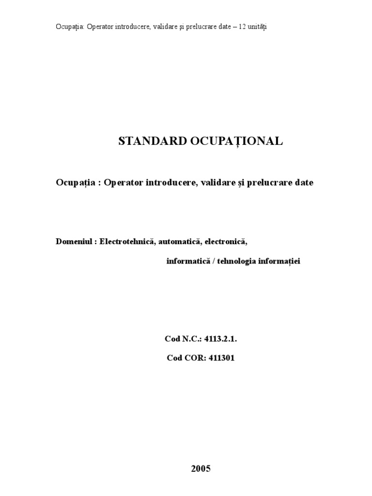 Standard Ocupational Operator IT | PDF