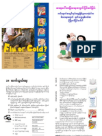H1N1_Pandamic Flu Bro-Myan