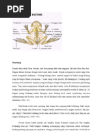 Download Morfologi Kodok by Budiarto Heru Sayogo SN140355679 doc pdf