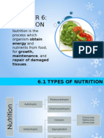 Chapter 6 - Nutrition (Part 1)