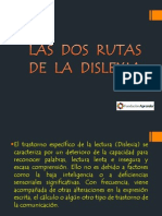 LAS RUTAS DE LA DISLEXIA Presentación Definitiva PDF