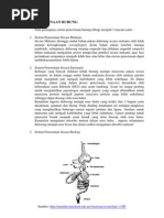 Sistem Pencernaan Burung