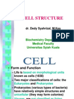 Cell Structure
