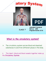 Surabhi Panwar Circulatory System_2