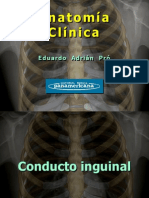 Clase 6-1 Conducto Inguinal