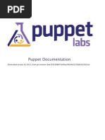 Puppet Manual