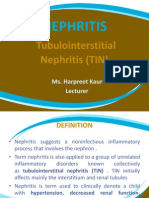 Nephritis - Urinary System Disease