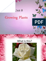 Unit 8 Growing Plants