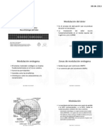 1.06 Modulacion Del Dolor