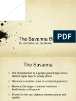 The Savanna Biome: By: Joe Carlini, and Jim Gentile