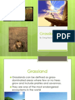 Grasslands: by Greg Bacci Harry Mauk