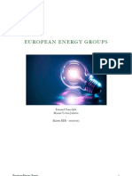 European Energygroups: Bernard Timothée Minier-Cottin Juliette - Master EBR - 2012/2013