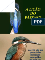 A Licao Do Passaro