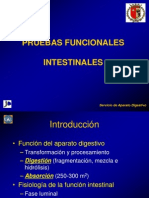 Pruebas Funcionales Intestinales