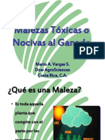 Malezas Tóxicas