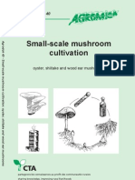 Small Scale Mushroom