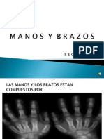 protecciondemanosybrazos-100223205232-phpapp01.pptx