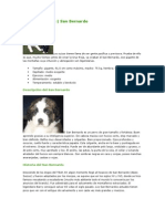 Nuevo Documento de Microsoft Word (29)