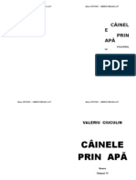Valeriu CIUCULIN - CAINELE PRIN APA vol.IV