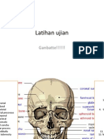 Latihan Ujian Anatomi