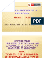 7 Region Puno