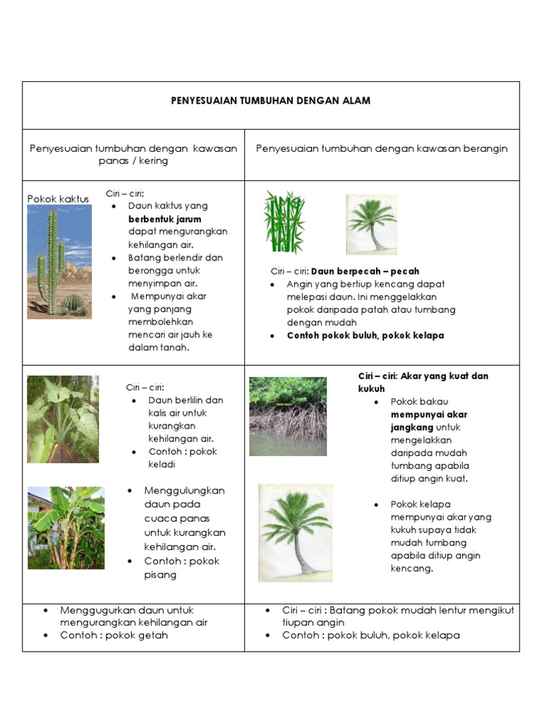 Penyesuaian Tumbuhan Dengan Alam