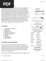 Download Narwhal by vkg214 SN140515636 doc pdf