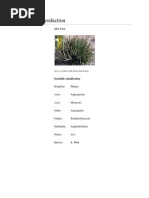 Download Aloe Vera by Ayush Tiwari SN140519895 doc pdf