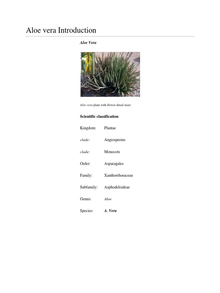 Aloe Vera: Taxonomy and Benefits | PDF | Immune System | Medical Specialties
