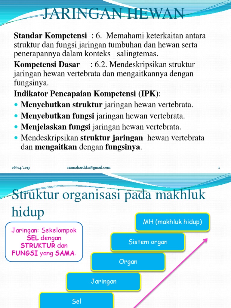Jaringan Hewan