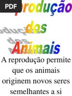 Reprodução animal