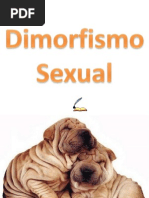 Dimorfismo Sexual