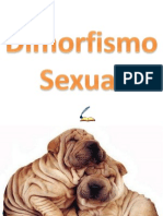 Dimorfismo Sexual