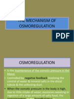 The Mechanism of Osmoregulation