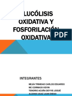 Fosforilación Oxidativa y Glucólisis Oxidativa