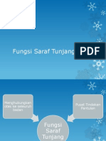 Fungsi Saraf Tunjang