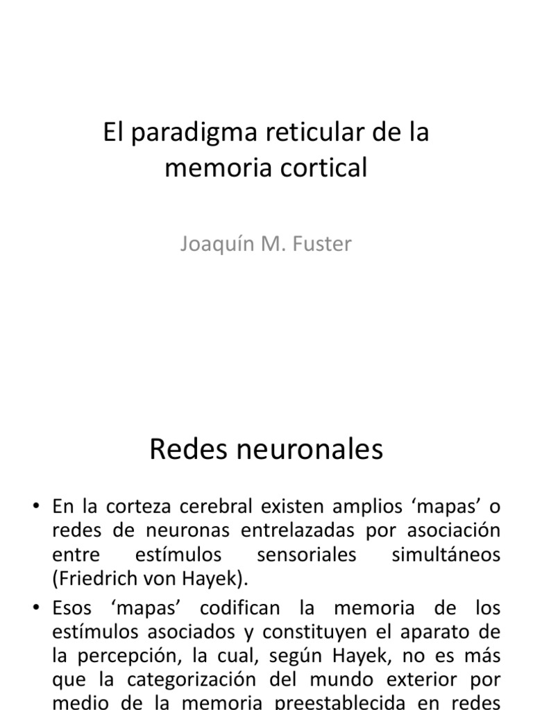 El Paradigma Reticular de La Memoria Cortical | PDF | Corteza cerebral ...