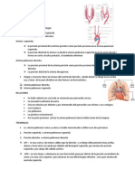 Arteria Pulmonar