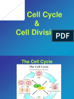 Cell Division ppt
