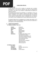 Download Guaba Inga Edulis by Adrian Shield SN140562825 doc pdf