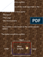 Circulatory System 