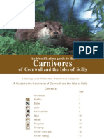 Carnivore