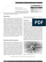 Acantharia PDF