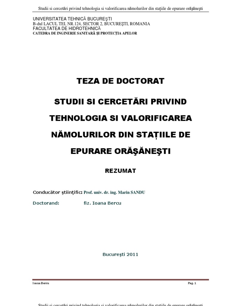 Teza de doctorat thesis 06 image