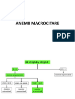 Anemii Macrocitare