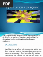 Afiliacion A Un Equipo