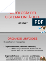 Grupo 1