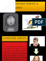 Mindset & Consumer Insight