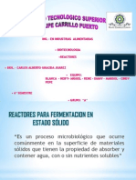 Reactor Solido y Enzima PDF