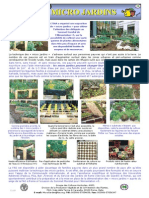 FAO Micro Jardins Brochure